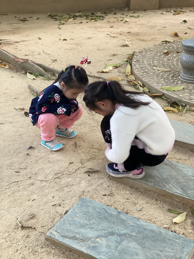 2021年1月24日照片